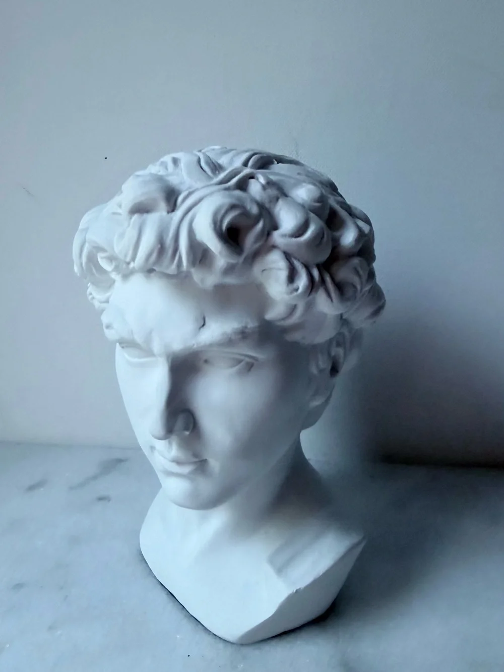 David Classical Marble David head Bust Sculpture - Picture 4 of 12